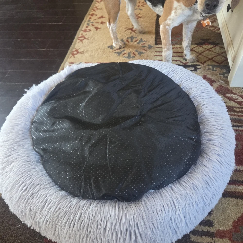 Dog Bed